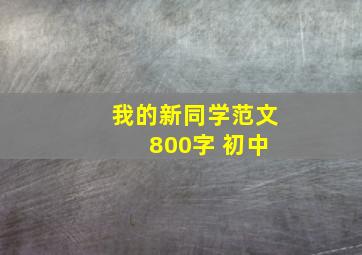 我的新同学范文 800字 初中